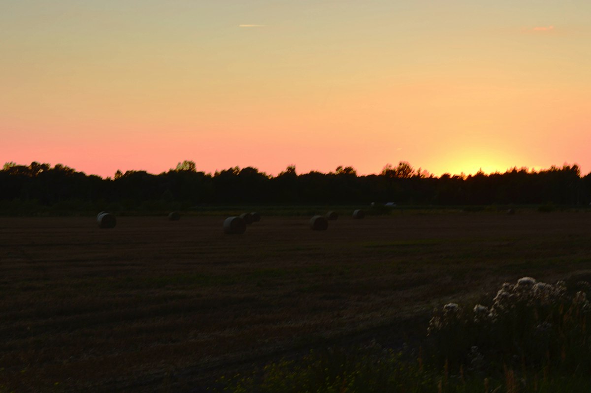 Hay bales in a field under a warm orange sky at low sun