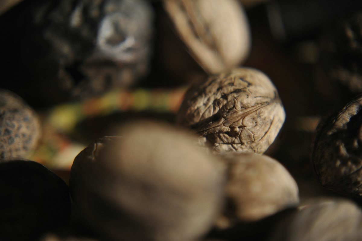 Several walnuts sit together, close up