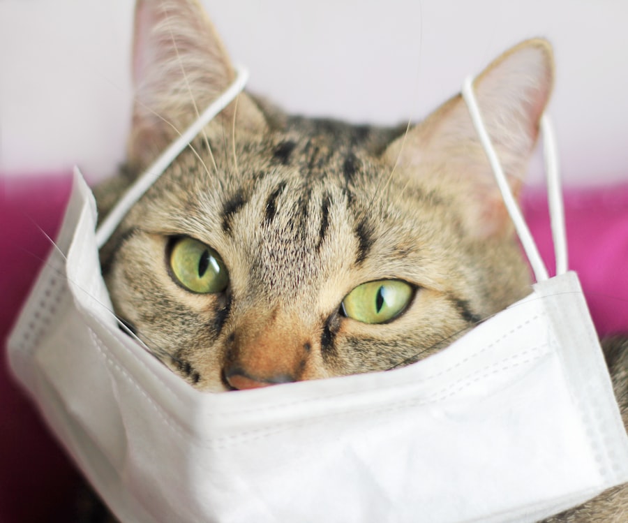 H5N1 bird flu cat Texas