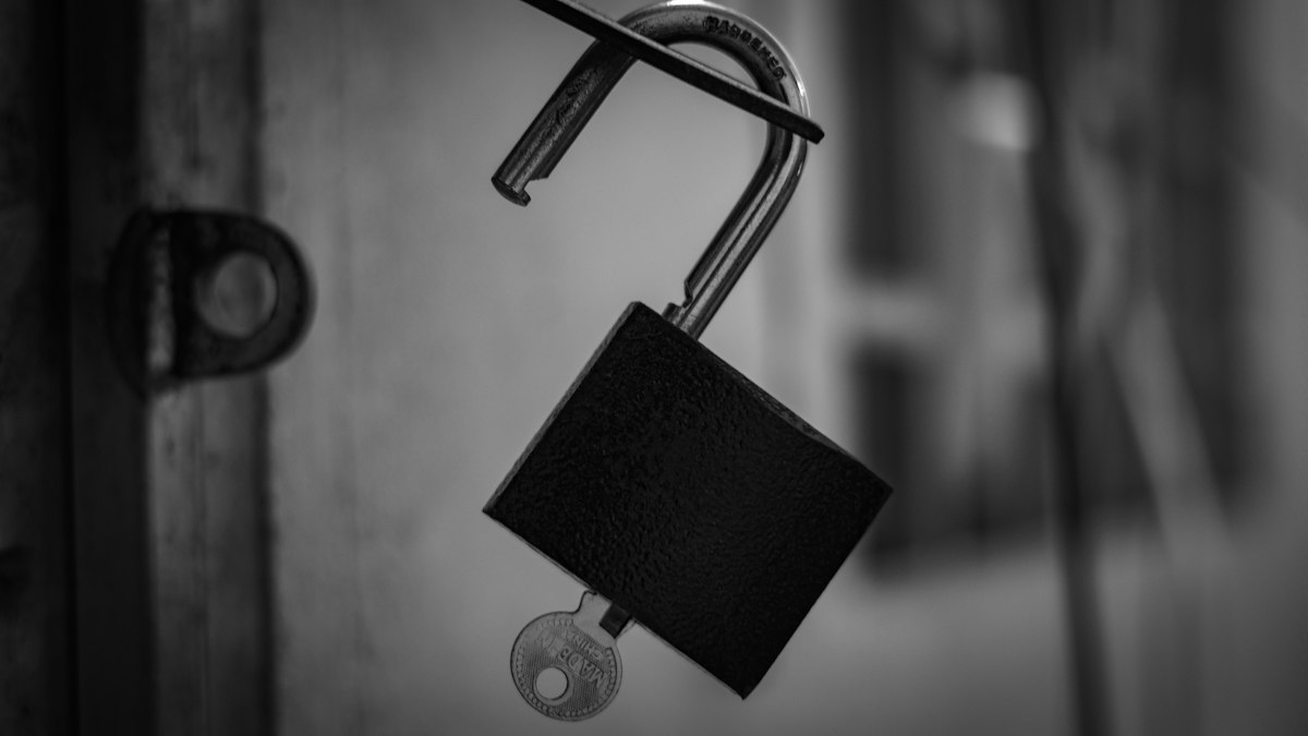New RSA Signature Forgery Attack Cuts
