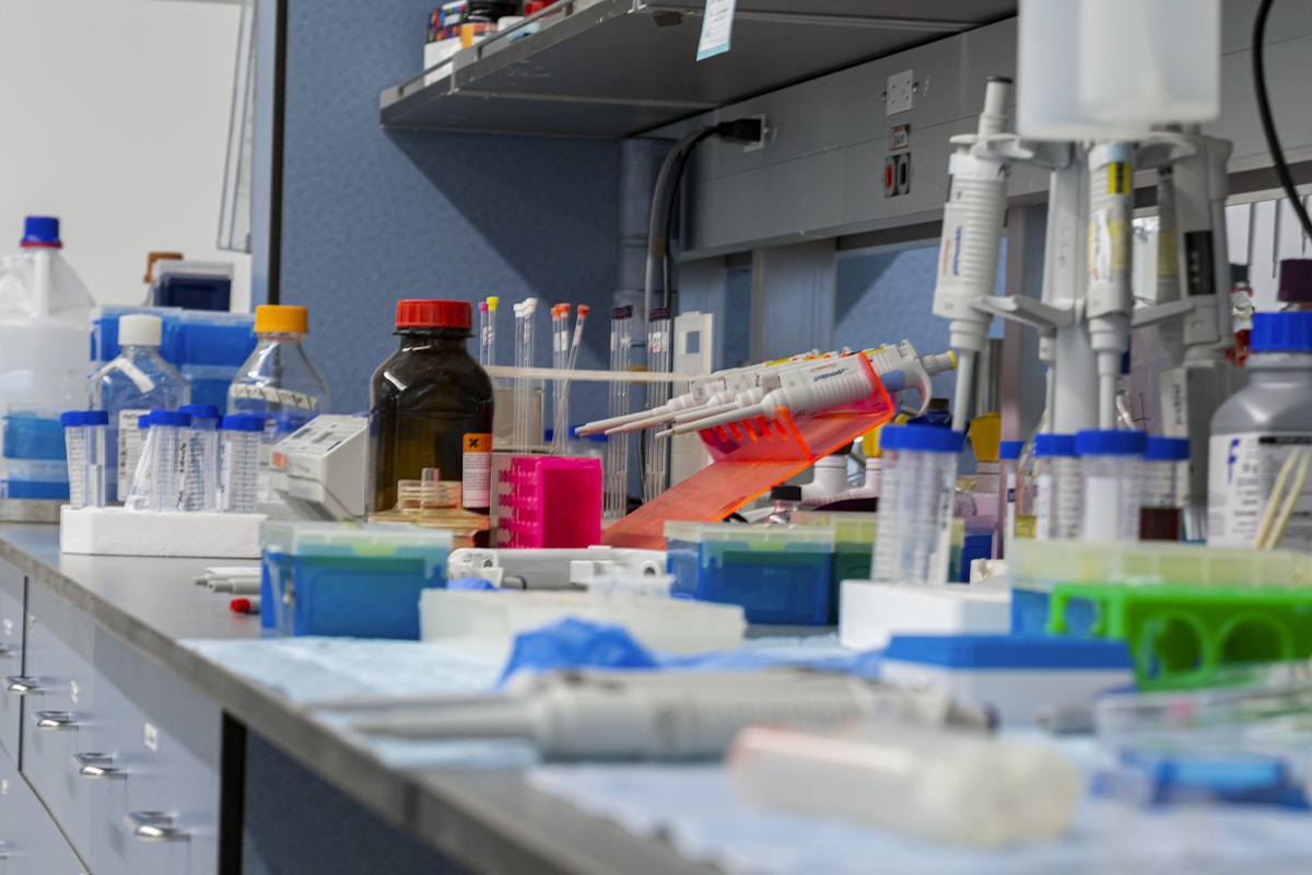 ST-1466 Strain Shifts Meningococcal Strategy