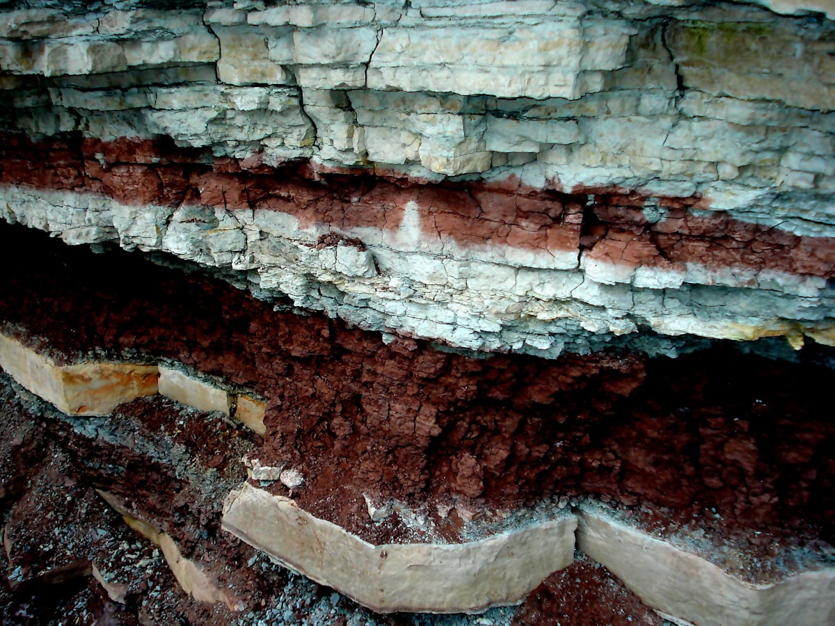 Inside the Chicxulub hydrothermal system study