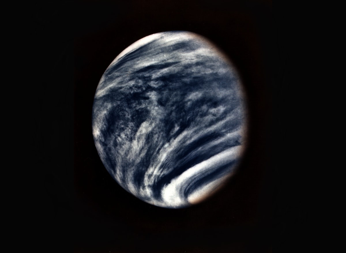 Venus Isn't Dead: What It Means