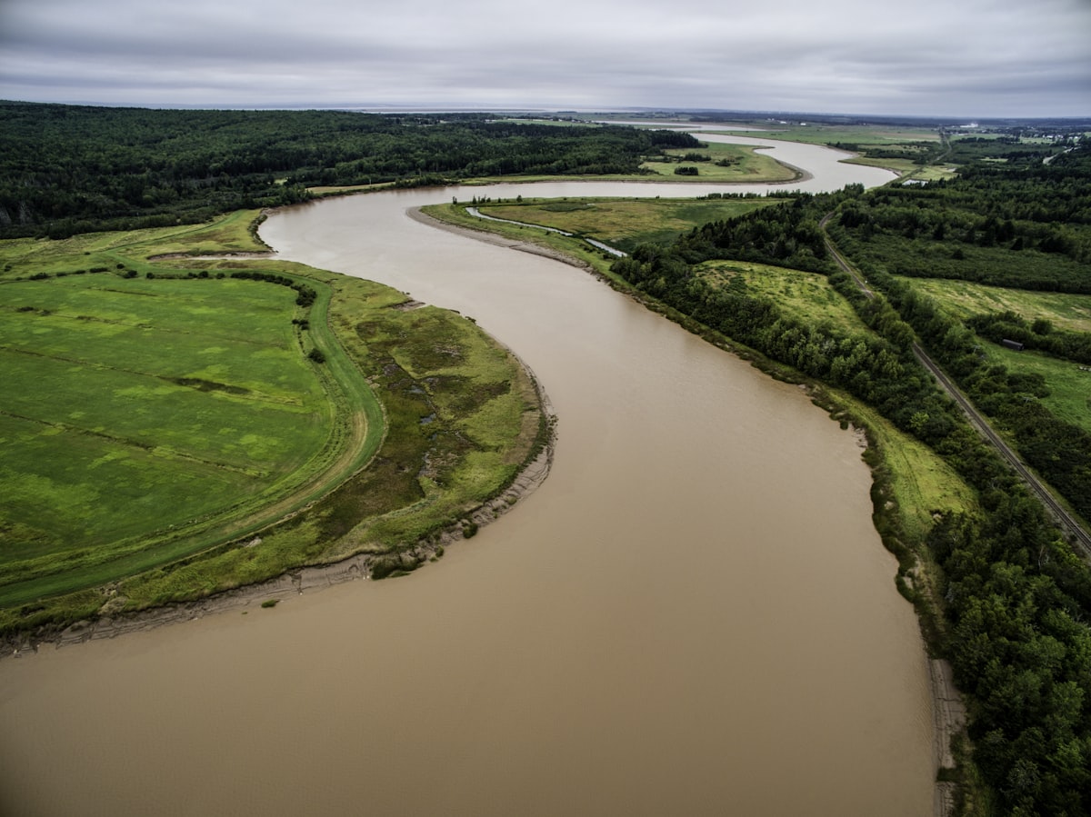 River Lugg Restoration Will Take Decades, Ecologist Says
