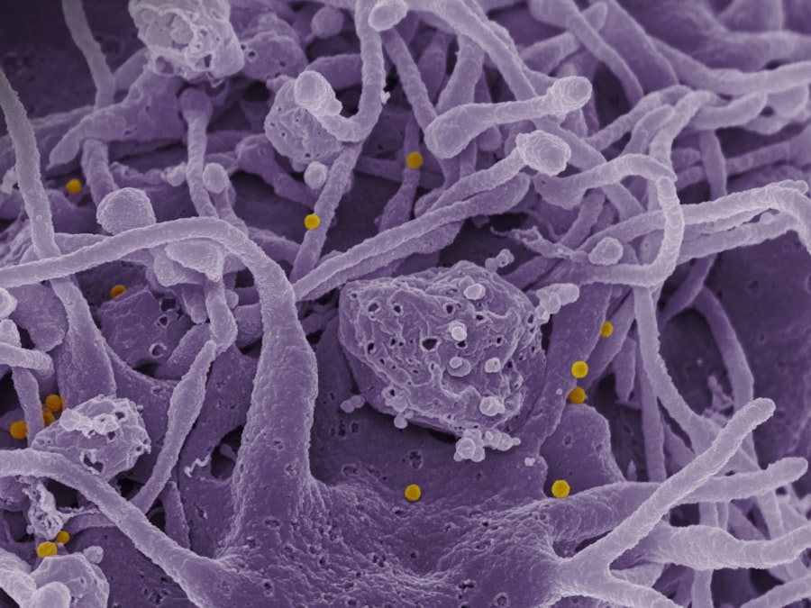 Prostate cancer gene therapy: FDA's first approval is a double-edged sword