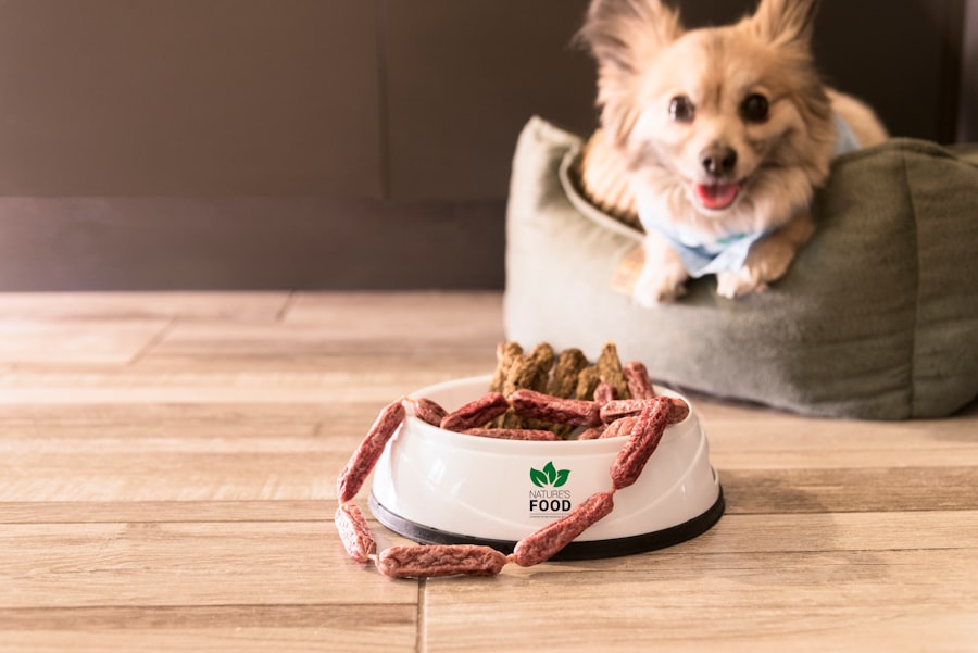 Cultivated meat pet food UK approval: a global first