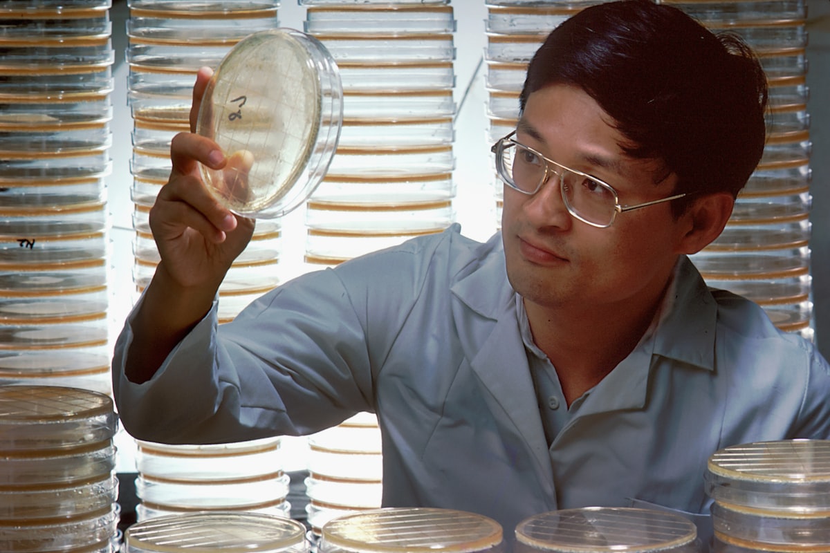 Lab-grown minibrains show skewed sense of