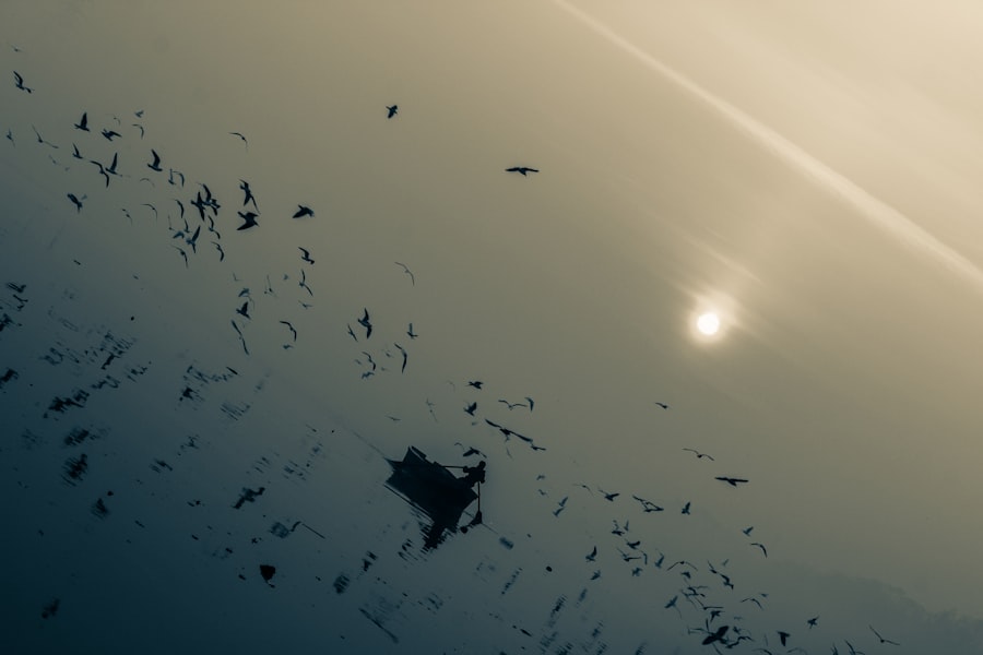 Starship explosion scatters debris over Florida coast