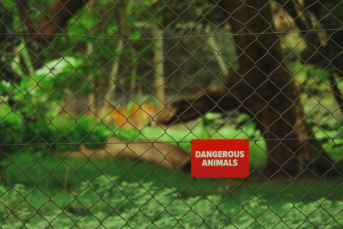 AI More Likely to Kill Animals If It Saves Fuel or Money