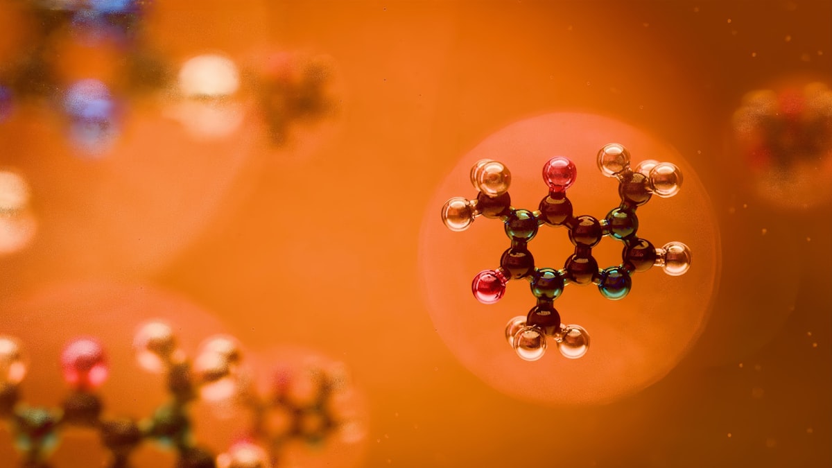 How Gestational Chemical Exposure Affects Birth Risks