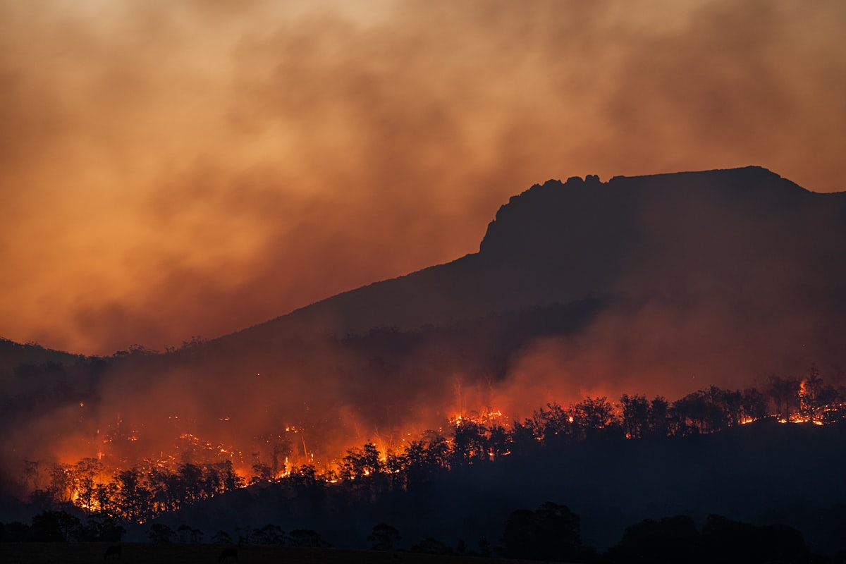 AI Satellites Transform Wildfire Detection