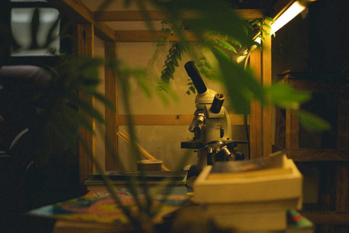 Biology Might Not Be Quantum, but Its Math Is Quantumlike