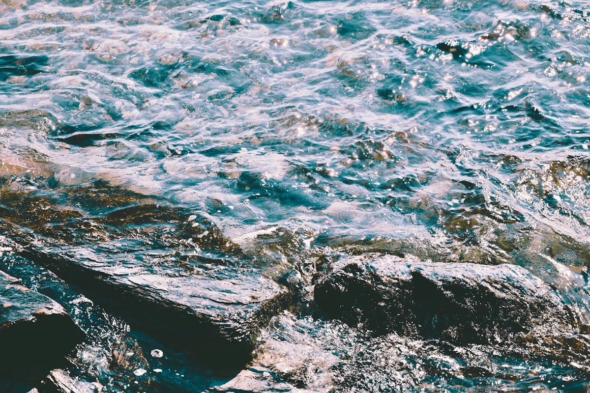 Rippling water flows over dark rocks.